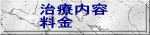 治療内容 料金 
